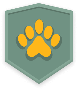 bravery badge